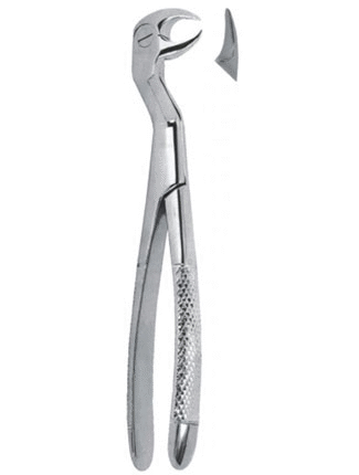 Extracting Forceps – English Pattern