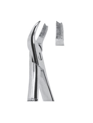 Extracting Forceps – English Pattern