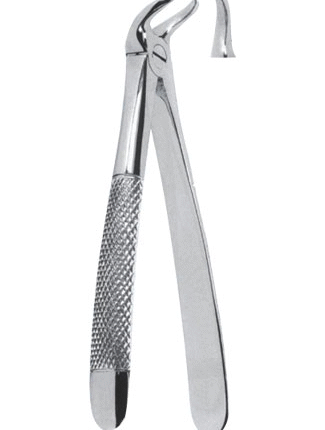 Extracting Forceps – English Pattern