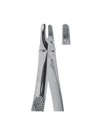 Extracting Forceps – English Pattern