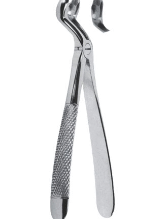 Extracting Forceps – English Pattern